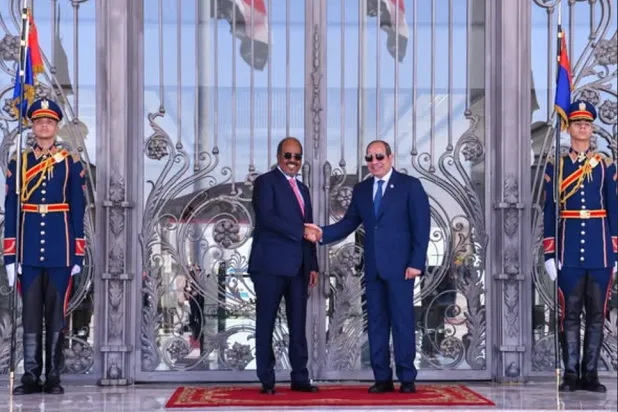 السيسي يصافح نظيره الصومالي خلال لقاء بمدينة العليمن في يوليو الماضي (الرئاسة المصرية)