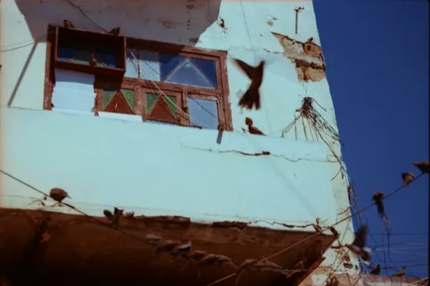 ما يبدو عادياً يخفي جهداً يومياً للاستمرار (تارا الخازن)