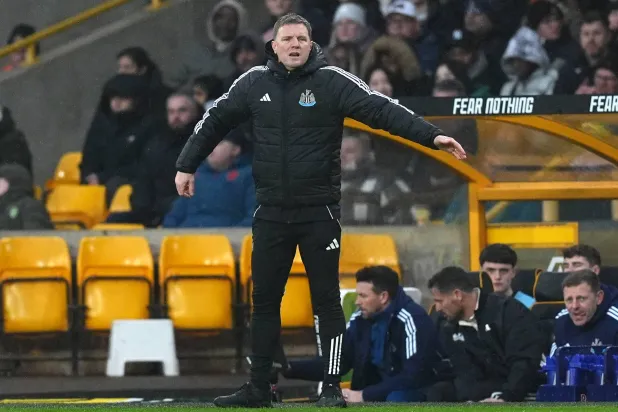 إيدي هاو المدير الفني لفريق نيوكاسل يونايتد (د.ب.أ)