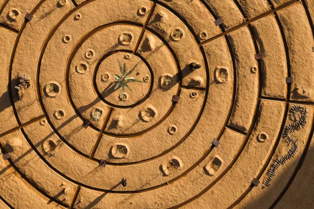 عمل الفنان محمد الفرج (فنون العلا)