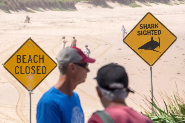 People stand next to warning signs in place, and beaches are closed after a surfer suffered a shark attack at Dee Why Beach in Sydney, Australia, January 19, 2026. REUTERS/Jeremy Piper
