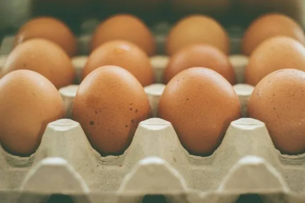 تناول كمية معتدلة من البيض يقلّل من خطر الوفاة المرتبطة بأمراض القلب والأوعية الدموية (بكساباي)