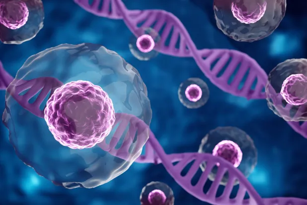 خلايا جذعية تحت المجهر