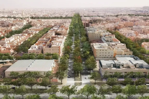 المساحة الخضراء في العاصمة السعودية الرياض (الشرق الأوسط)