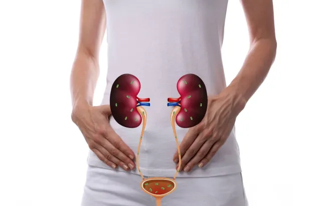 التهابات المسالك البولية تُعد من أكثر أنواع العدوى شيوعاً (أرشيفية)