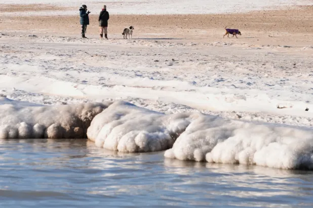 Ice forms along the Lake Michigan shore as People walk their dogs on a beach, Tuesday, Jan. 20, 2026, in Chicago. (AP Photo/Kiichiro Sato)