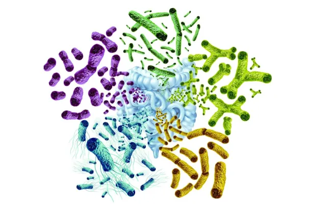 العلاجات البكتيرية الموجَّهة للأورام... أفق جديد في علاج سرطان القولون