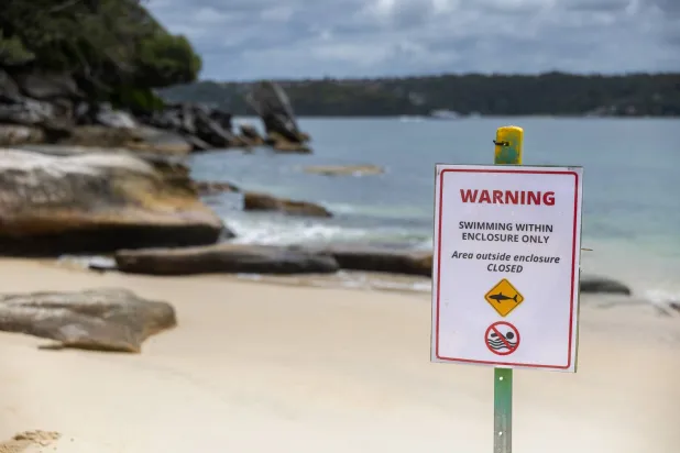 هجوم قرش في ميناء سيدني ينهي حياة صبي أسترالي