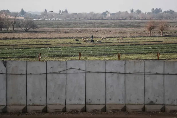 Irak'ın Suriye sınırına yakın el-Kaim bölgesinden çekilen bir fotoğrafta, Suriyeli bir çobanın beton bir duvarın yakınındaki tarlalarda koyunlarının otlamasını izlediği görülüyor (AFP)