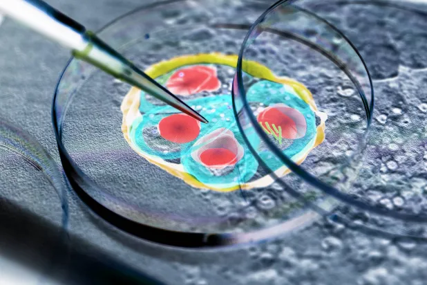 كيف تقود الجينات إلى تشخيص أسرع للملاريا الدماغية؟