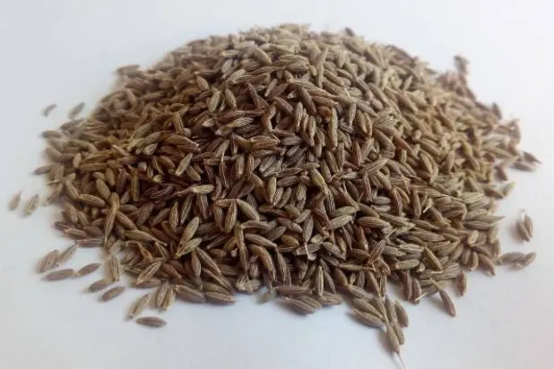 Kimyonun, onu beslenme düzeninde değerli kılan şaşırtıcı sağlık faydaları bulunuyor (Pixabay)