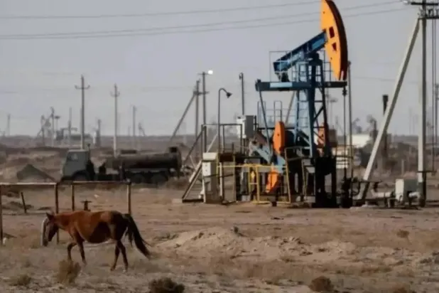 حصان يرعى بالقرب من منصة حفر نفطية في كازاخستان (رويترز)