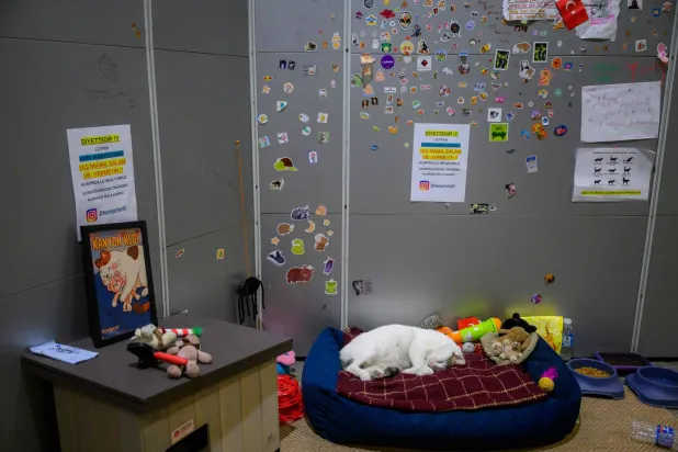 «كانيون» (أ.ف.ب)