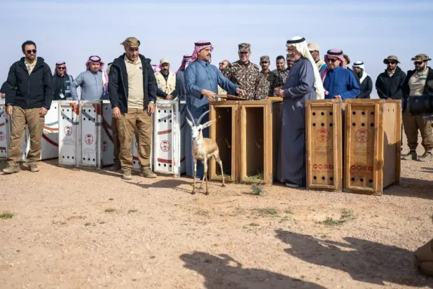 With this release, the total number of wildlife species released by the NCW to date has exceeded 10,000 as part of its specialized programs - SPA