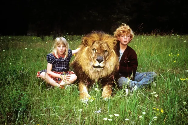 Foster'la başrolleri paylaşan çocuk yıldız Johnny Whitaker, büyüyünce alkol ve uyuşturucu bağımlılığıyla mücadele etti (Walt Disney)