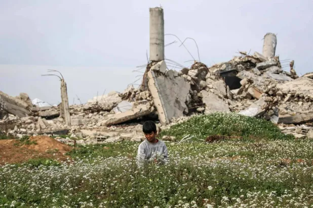 A Palestinian child picks flowers on Thursday from a field near destroyed buildings in the Nuseirat refugee camp, north of Deir al-Balah in central Gaza (AFP)