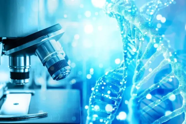 Prof Uri Alon said he hoped the study would inspire further investigation into the genes that affect lifespan (Shutterstock)