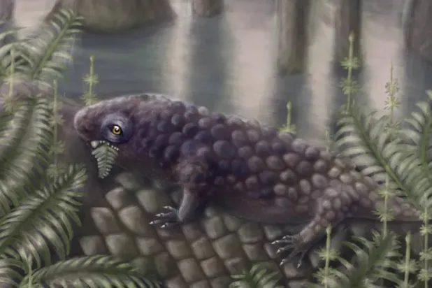 Tyrannoroter heberti'nin yuva kazan hayvanlardan olduğu düşünülüyor (Hannah Fredd)