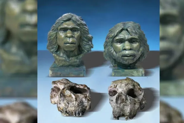 Yunxian Homo erectus'un yeniden yapılandırılması (Xiaobo Feng)
