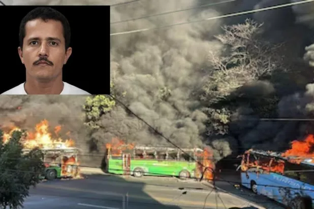 Kolaj: Independent Türkçe