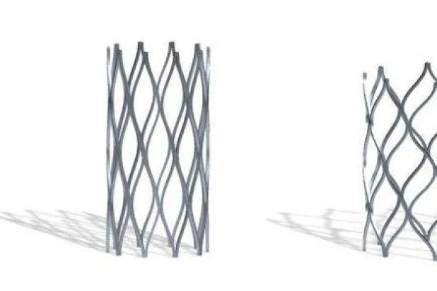 الدعامة قابلة للتمدد مع نمو الصغار