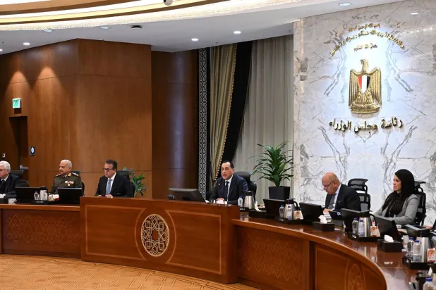 اجتماع لمجلس الوزارء المصري في نهاية يناير الماضي (مجلس الوزراء)