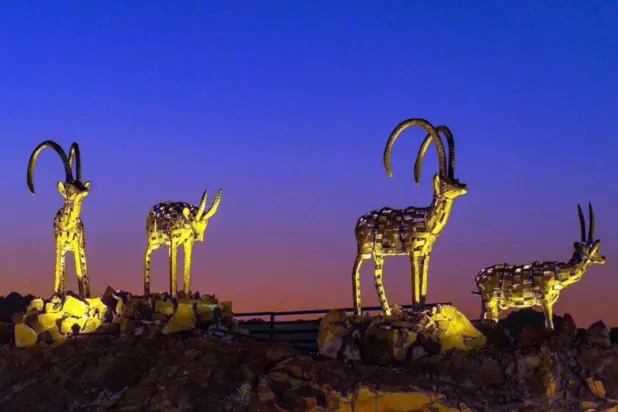 The achievement establishes Hail as a leading Arab model for sustainable urban development - SPA