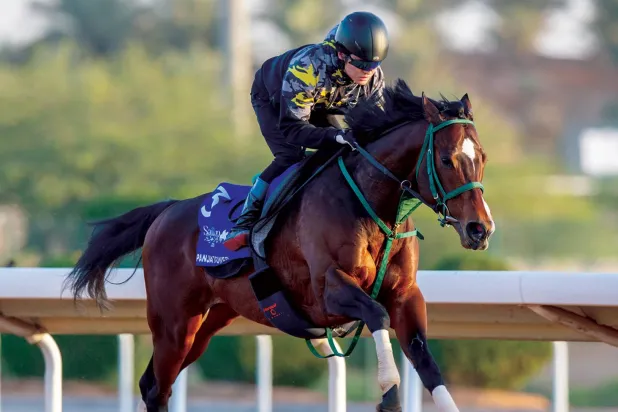  «بانغا تاور» يقود التحدي الياباني نحو لقب جديد في «كأس 1351 للسرعة» (نادي سباقات الخيل)