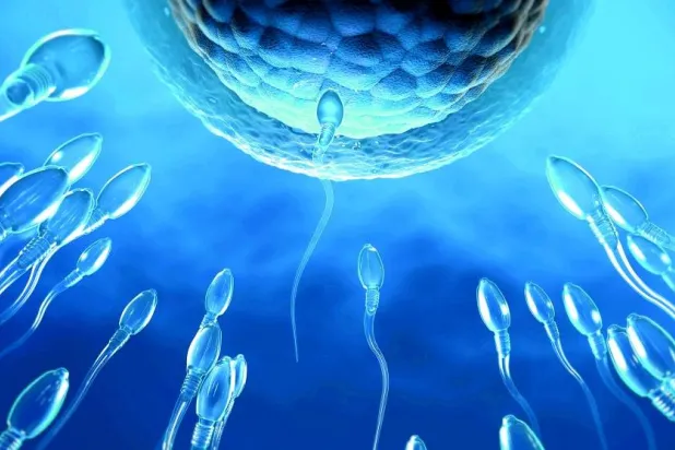 6 معلومات تهم الرجل عن الخصوبة