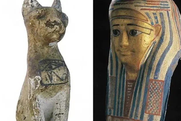 عدد من المضبوطات التي عُثر عليها وفقاً لما أعلنته الشرطة الأسترالية (الموقع الرسمي لشرطة كوينزلاند)