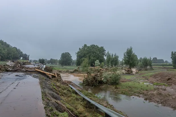 Trees lie amid the floodwaters after heavy rain and wild winds in Puketotara, Waikato region, New Zealand, February 14, 2026, in this picture obtained from social media. Wayne Feisst/via REUTERS
