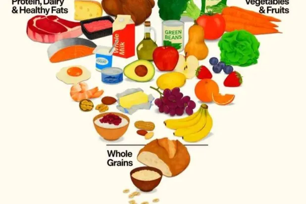 الهرم الغذائي الجديد (موقع وزارة الزراعة الأميركية)