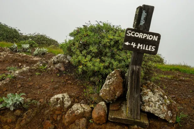 المعرفة... أول درع في مواجهة ما يختبئ تحت الأقدام (شاترستوك)