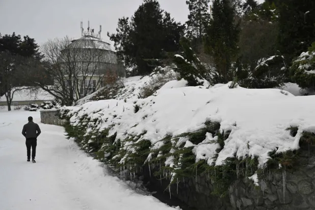 A man walks past snow-covered plants at the Gryshko National Botanical Garden of the National Academy of Sciences of Ukraine in Kyiv on February 11, 2026, amid the Russian invasion of Ukraine.  (Photo by Genya SAVILOV / AFP) 