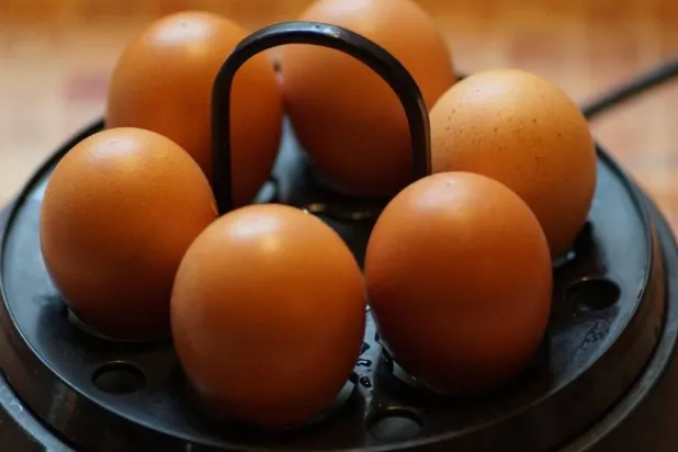 يُعدّ البيض مصدراً مهماً للبروتين قد يساهم في خفض خطر الخرف عند تناوله بانتظام (بكساباي)