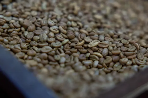 The ministry encourages consumers to choose national coffee products for their nutritional value - SPA