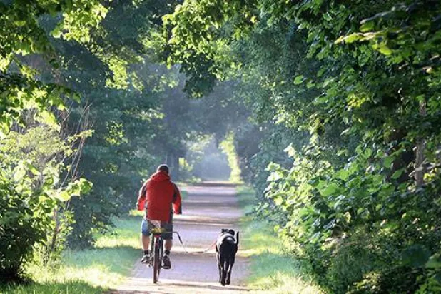 دراجة كهربائية... وطريق أقصر نحو صحة أفضل (جامعة أوتاغو)