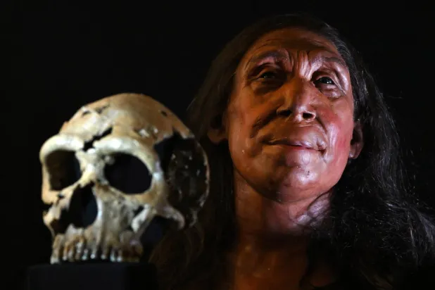 Neandertal bir kadının yeniden inşa edilen 75 bin yıllık kafatası ve yüzüyle başının fiziksel rekonstrüksiyonu (AFP)