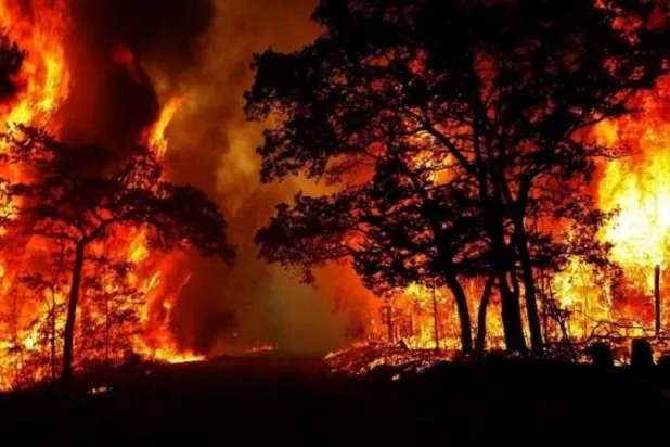 جانب من النيران في منطقة القبائل صيف 2021(أرشيفية- متداولة)