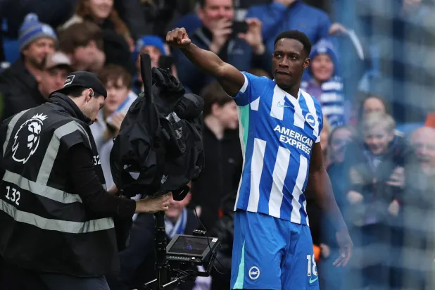 داني ويلبيك يحتفل بهدفه لبرايتون في مرمى نوتنغهام (رويترز)