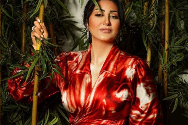 الفنانة وفاء عامر (صفحتها على «فيسبوك»)