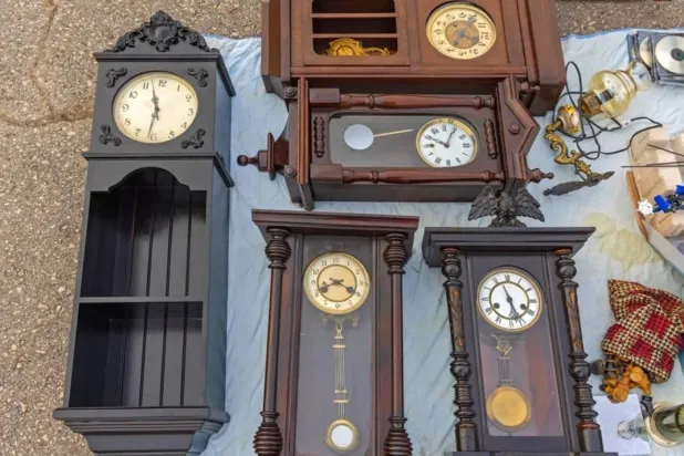 Grandfather pendulum clocks collection for sale at an antique market (Shutterstock)
