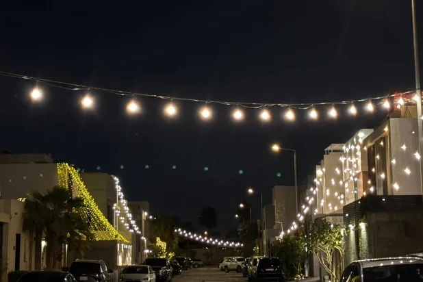 أحد الأحياء السكنية في مدينة الرياض (الشرق الأوسط)