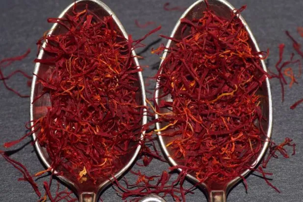 الزعفران أو مركباته النشطة قد يلعبان دوراً في دعم علاج مجموعة واسعة من الحالات الصحية (بيكساباي)