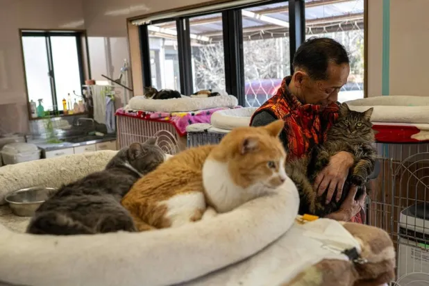This picture taken on March 5, 2026 shows former nuclear plant worker Toru Akama playing with a cat during an interview with AFP at his animal shelter in Namie, Fukushima prefecture. (AFP)