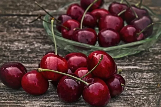 الكرز الحلو الداكن قد يحتوي على مركبات تساعد في إبطاء نمو أحد أكثر أنواع سرطان الثدي عدوانية (بكساباي)