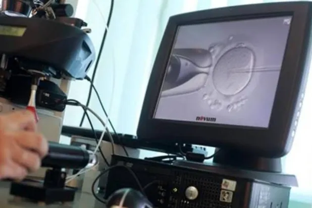 عدد الحيوانات المنوية في الدول الغربية انخفض بنحو 60 % عالمياً منذ عام 1973 (أرشيفية - رويترز)