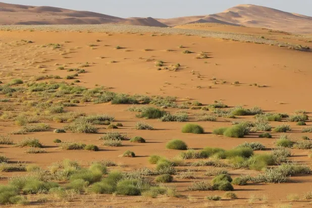 ترقد «الربع الخالي» فوق اثنين من أكبر حقول الغاز والنفط في العالم (واس)