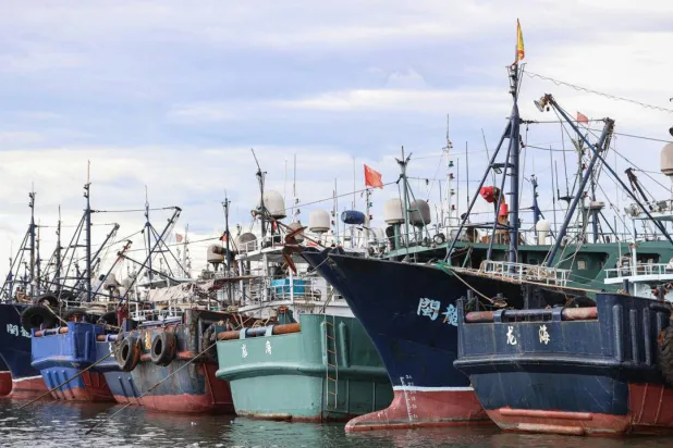 China's massive fishing fleet operates in the Yellow Sea, East China Sea and the South China Sea, competing with fishers from Japan, South Korea, Taiwan, Vietnam and the Philippines. (AFP)
