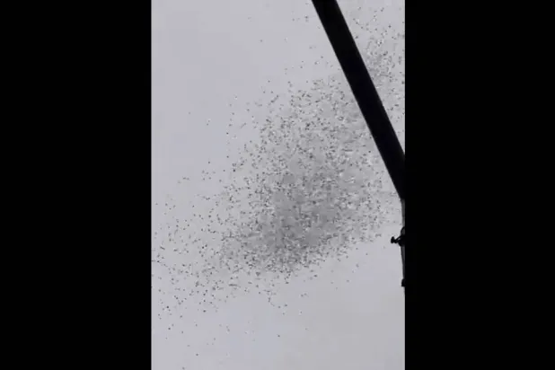 بالصور إسرائيل تلقي مناشير فوق بيروت... وتحرّض المواطنين على التخابر معها